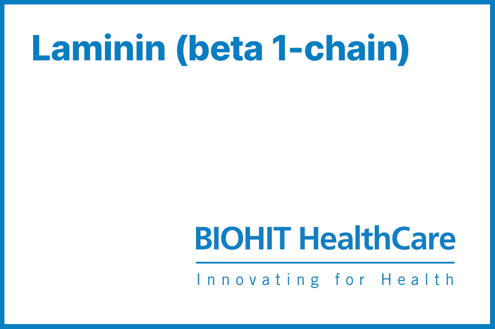 Laminin-(beta-1-chain) logo